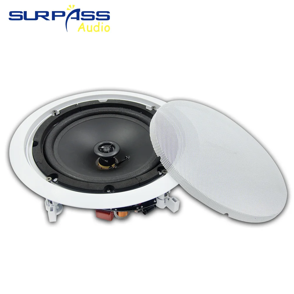 Audio Music Store - Genel Seslendirme Sistemi Mini Duvar Tavan