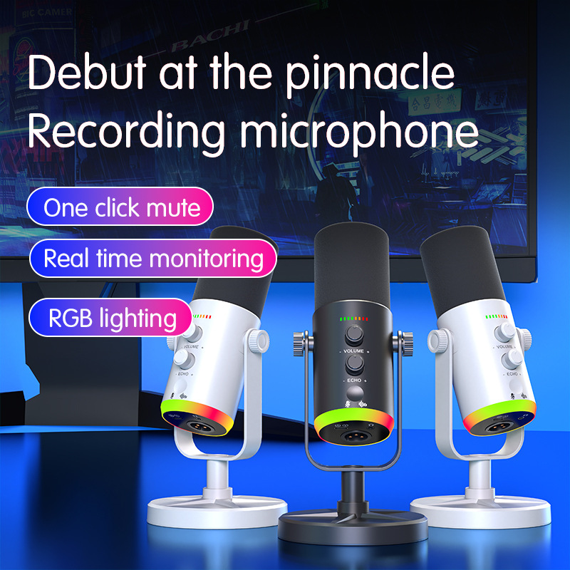 Recording Pop Filter - Oyun Mikrofonu USB/XLR Kondenser Mikrofon, RGB