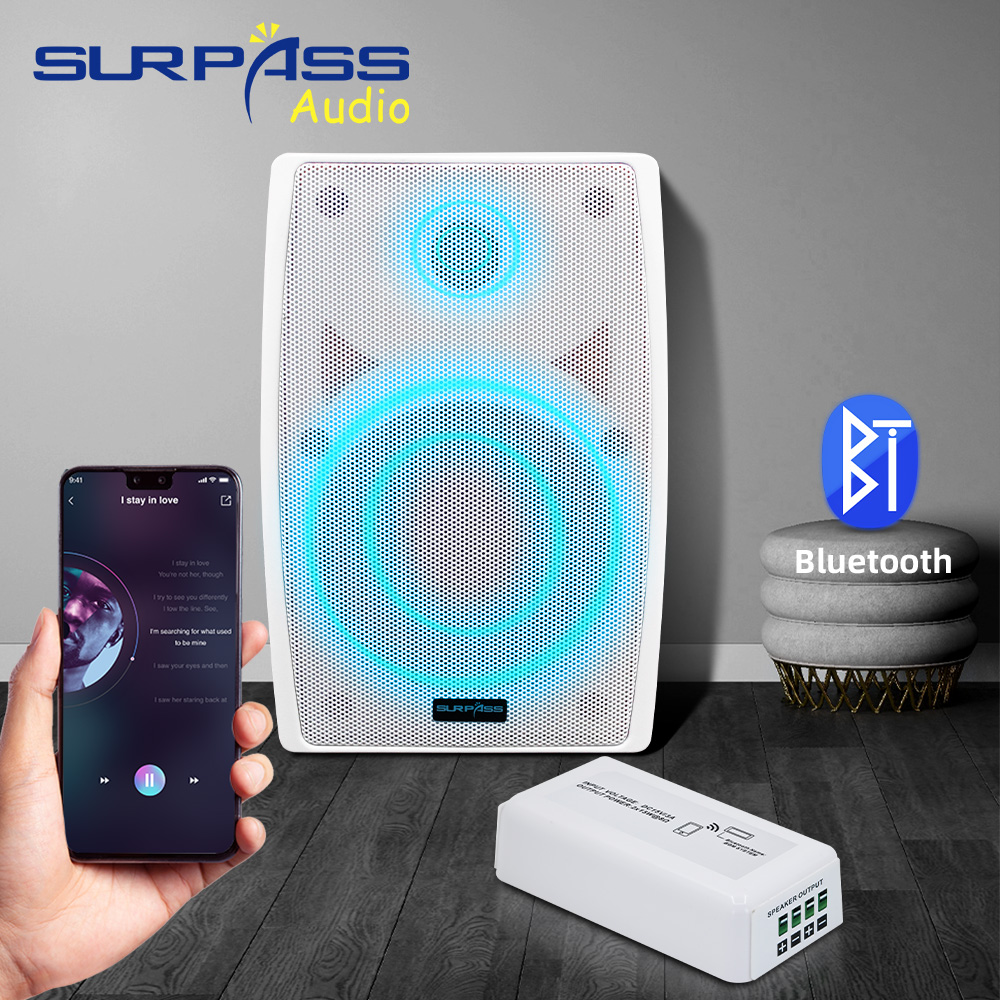 Akıllı Ev Ses Sistemi Mini Blu - Audio Music Store incelemesi ve fiyatı
