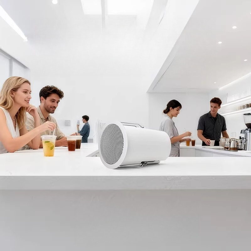 Tavan ses sistemi, gömülü hopa - Audio Music Store incelemesi ve fiyatı
