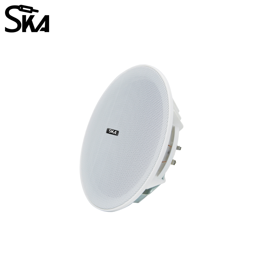 6,5 inç 20W, 8ΩÇift konili hop - Audio Music Store incelemesi ve fiyatı