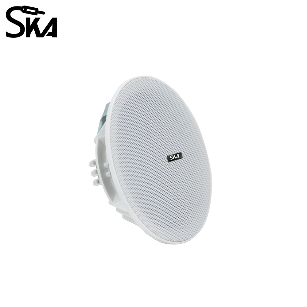 6,5 inç 20W, 8ΩÇift konili hop - Audio Music Store incelemesi ve fiyatı