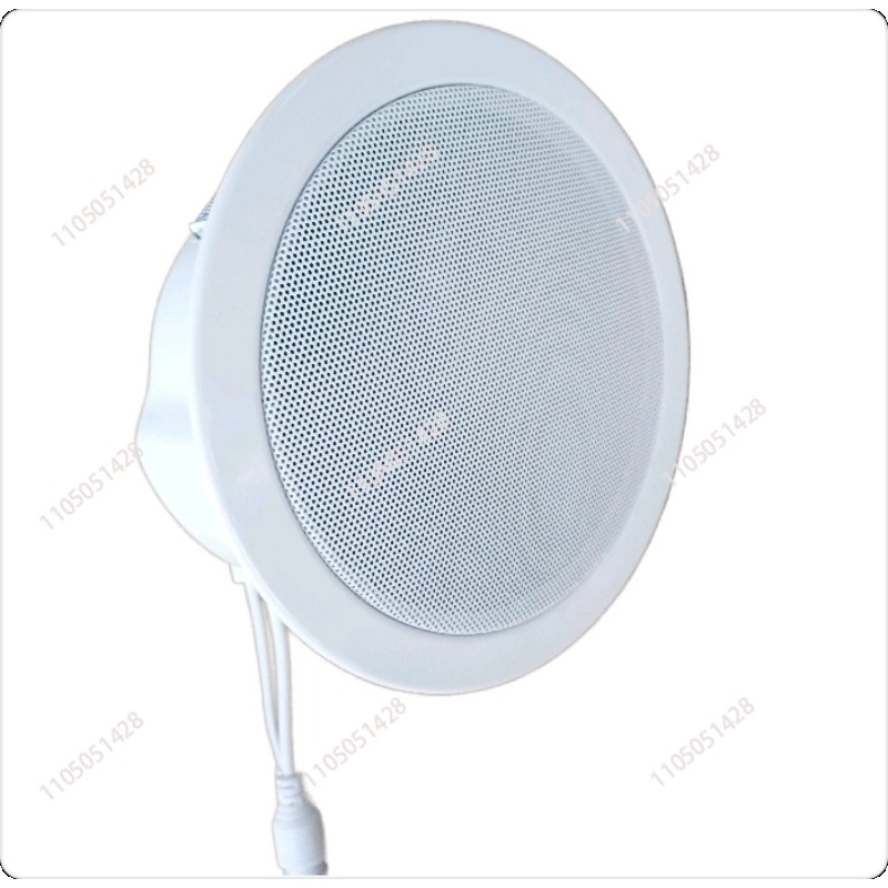 IP ağ hoparlörü, tavan ses sis - Audio Music Store incelemesi ve fiyatı