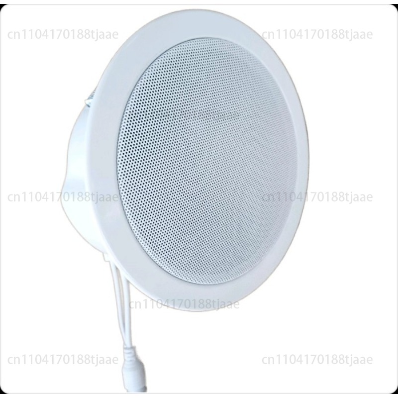 IP Ağ Hoparlörü, Tavan Ses Sis - Audio Music Store incelemesi ve fiyatı