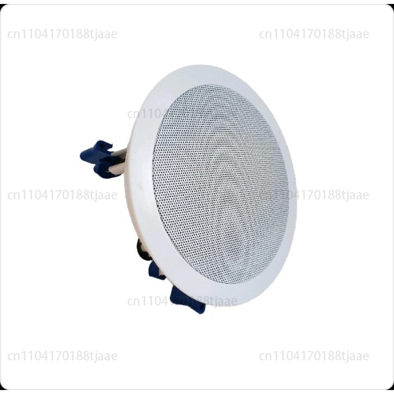 IP Ağ Hoparlörü, Tavan Ses Sis - Audio Music Store incelemesi ve fiyatı