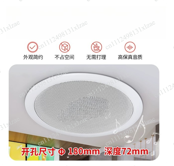TD202 tavan hoparlörü, tavan s - Audio Music Store incelemesi ve fiyatı