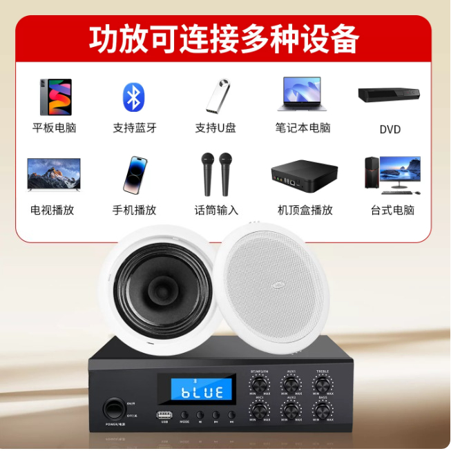 TD202 tavan hoparlörü, tavan s - Audio Music Store incelemesi ve fiyatı