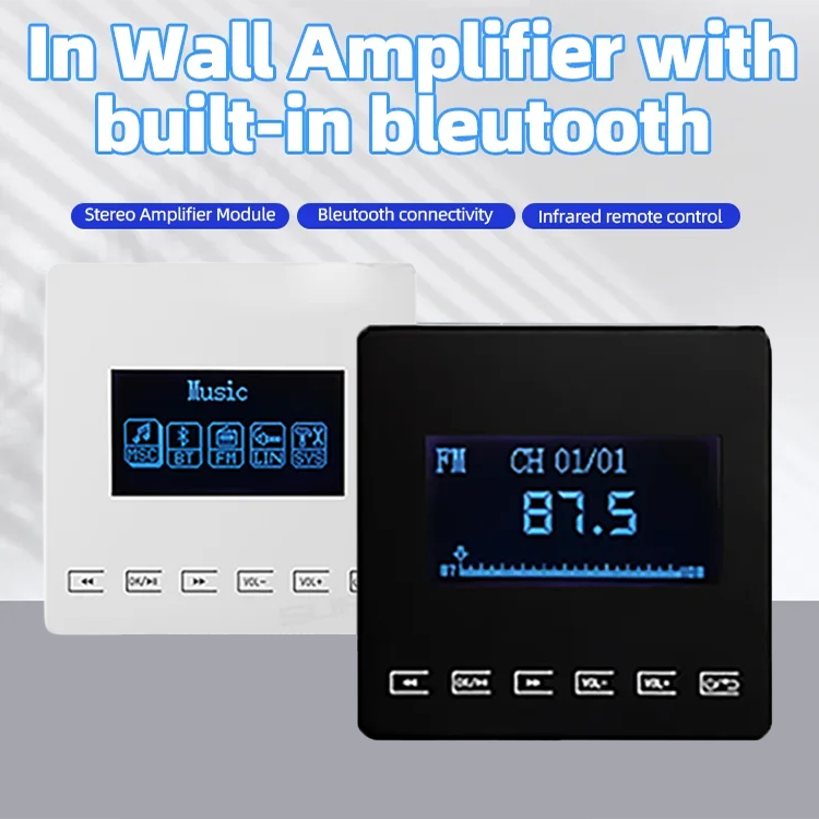 Mini Bluetooth amplifikatör du - Audio Music Store incelemesi ve fiyatı