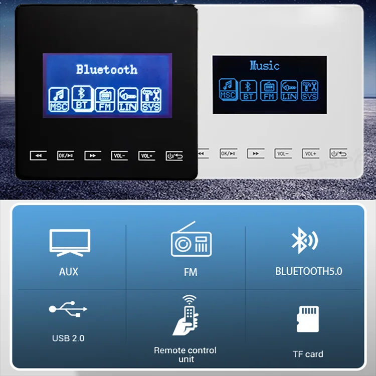 Mini Bluetooth amplifikatör du - Audio Music Store incelemesi ve fiyatı